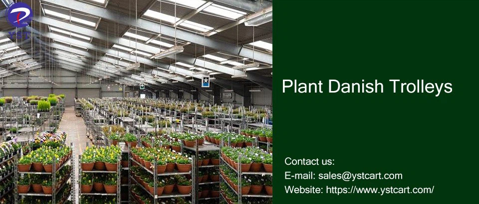 Plant Danish Trolleys-9 Plant Danish Trolleys-9