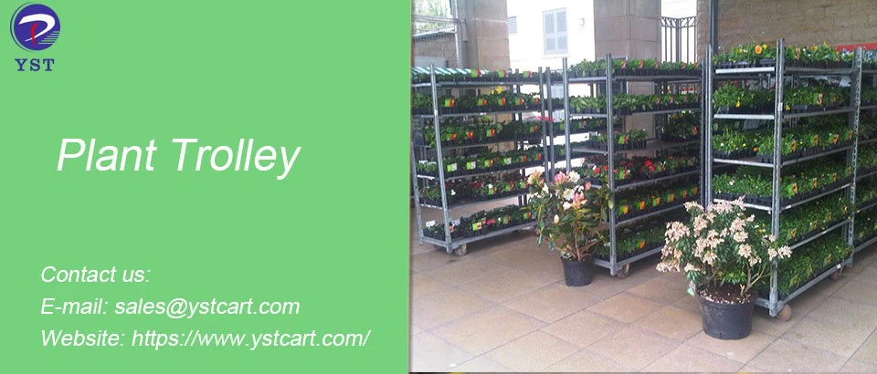 Plant Trolley-14 Plant Trolley-14
