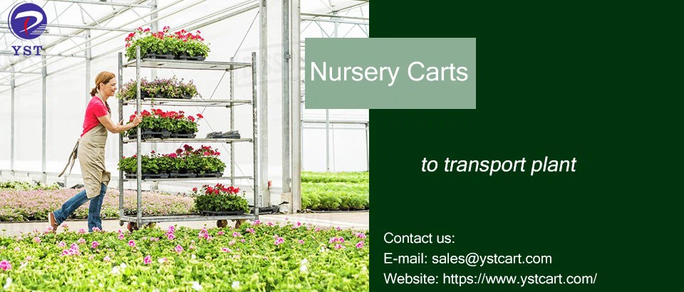 Nursery carts-1 Nursery carts-1