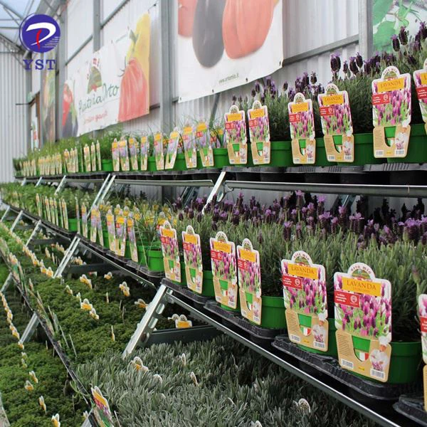 Danish Trolley Display