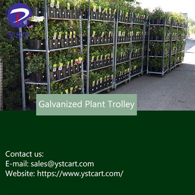 Per què el carro de plantes galvanitzat és durador?