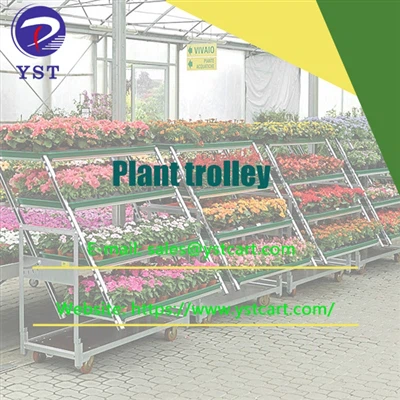Ús del carro de plantes per desenvolupar un negoci de cultiu de flors