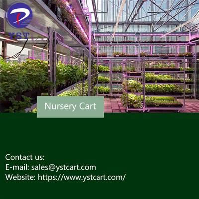 Utilitzeu un carro de viver per cultivar plantes