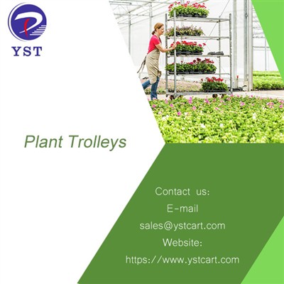 Eviteu danys i milloreu l'eficiència amb carros de plantes per al transport d...