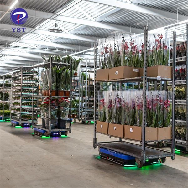 Carro d'hivernacle de servei pesat per a viver