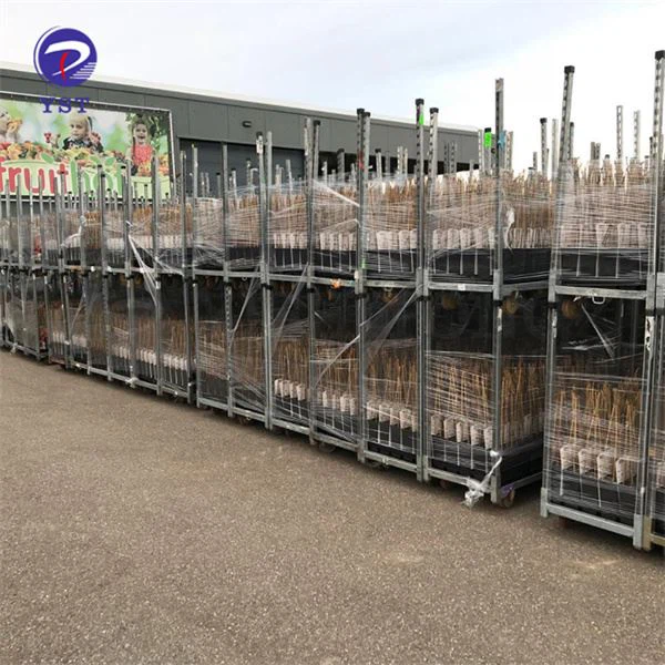 Bastidors d'enviament de guarderia