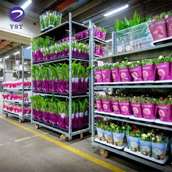 Shelved Carts For Nursery Use