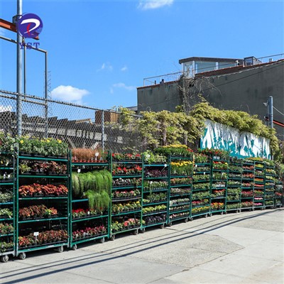 Carretó de flors