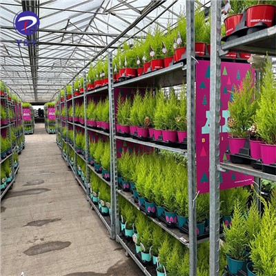 Carretons de flors
