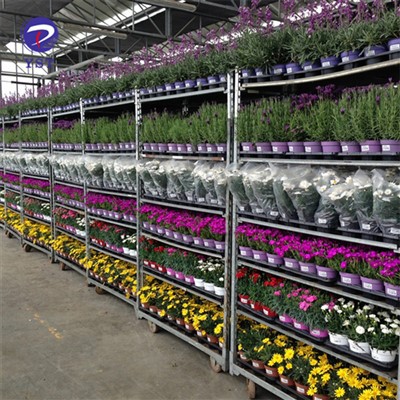 Centre de jardineria per a flors