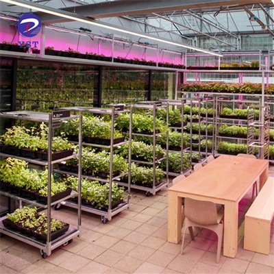 Bastidors d'enviament de plantes de rodatge metàl·lics