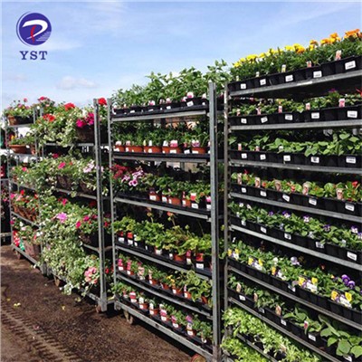 Carrets de transport de flors de plantes