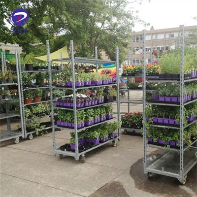 Carro de plantes