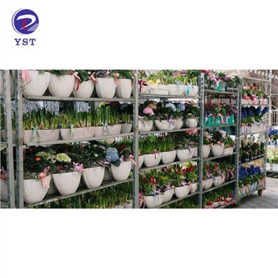 Carros Per Transportar Plantes