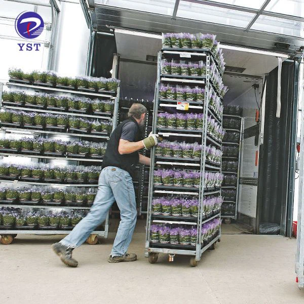 Bastidors de transport d'hivernacle